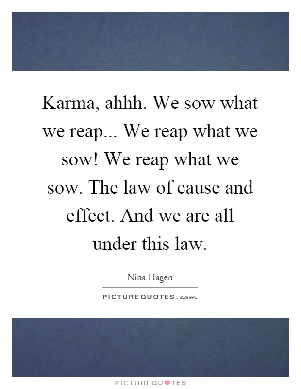 Karma, ahhh. We sow what we reap... We reap what we sow! We reap what we sow. The law of cause and effect. And we are all under this law Picture Quote #1