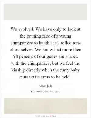 We evolved. We have only to look at the pouting face of a young chimpanzee to laugh at its reflections of ourselves. We know that more then 98 percent of our genes are shared with the chimpanzee, but we feel the kinship directly when the furry baby puts up its arms to be held Picture Quote #1