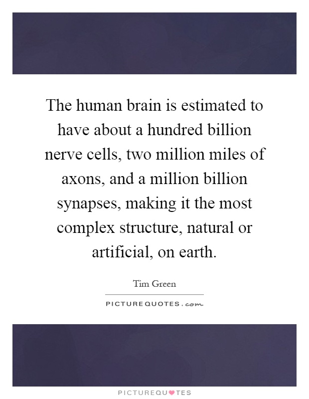 The human brain is estimated to have about a hundred billion nerve cells, two million miles of axons, and a million billion synapses, making it the most complex structure, natural or artificial, on earth Picture Quote #1
