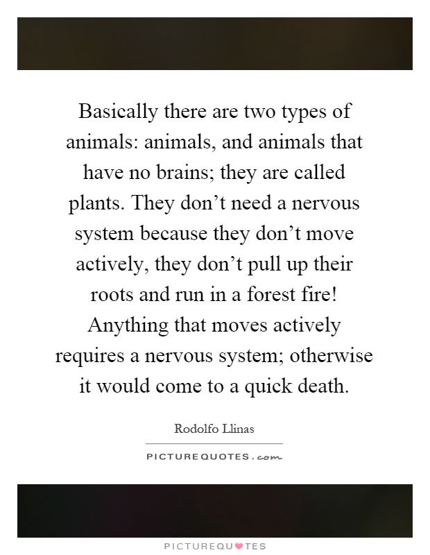 Basically there are two types of animals: animals, and animals that have no brains; they are called plants. They don't need a nervous system because they don't move actively, they don't pull up their roots and run in a forest fire! Anything that moves actively requires a nervous system; otherwise it would come to a quick death Picture Quote #1