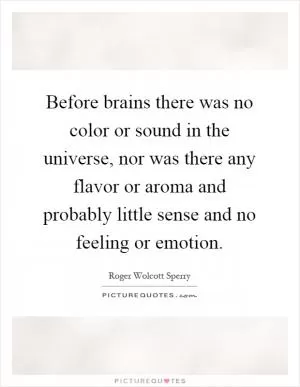 Before brains there was no color or sound in the universe, nor was there any flavor or aroma and probably little sense and no feeling or emotion Picture Quote #1