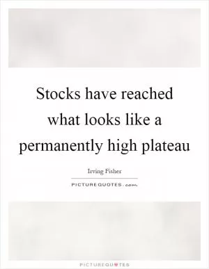 Stocks have reached what looks like a permanently high plateau Picture Quote #1