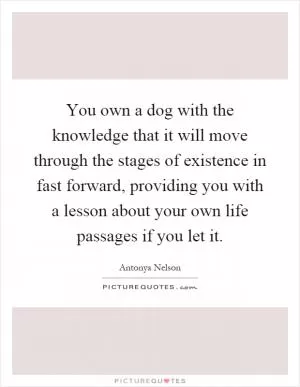 You own a dog with the knowledge that it will move through the stages of existence in fast forward, providing you with a lesson about your own life passages if you let it Picture Quote #1