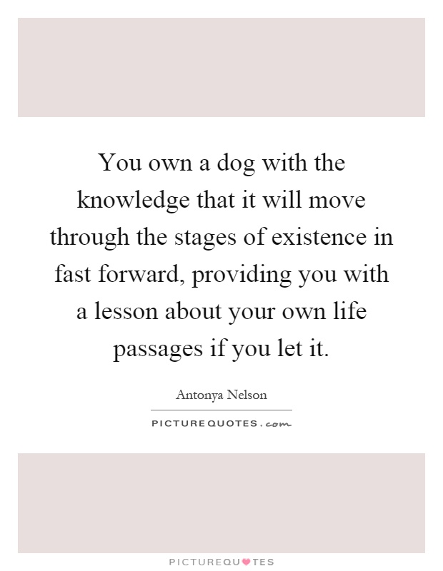 You own a dog with the knowledge that it will move through the stages of existence in fast forward, providing you with a lesson about your own life passages if you let it Picture Quote #1