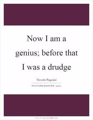Now I am a genius; before that I was a drudge Picture Quote #1
