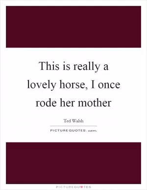 This is really a lovely horse, I once rode her mother Picture Quote #1