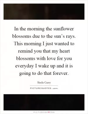 In the morning the sunflower blossoms due to the sun’s rays. This morning I just wanted to remind you that my heart blossoms with love for you everyday I wake up and it is going to do that forever Picture Quote #1