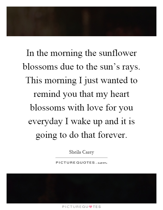 In the morning the sunflower blossoms due to the sun's rays. This morning I just wanted to remind you that my heart blossoms with love for you everyday I wake up and it is going to do that forever Picture Quote #1
