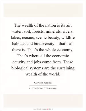 The wealth of the nation is its air, water, soil, forests, minerals, rivers, lakes, oceans, scenic beauty, wildlife habitats and biodiversity... that’s all there is. That’s the whole economy. That’s where all the economic activity and jobs come from. These biological systems are the sustaining wealth of the world Picture Quote #1