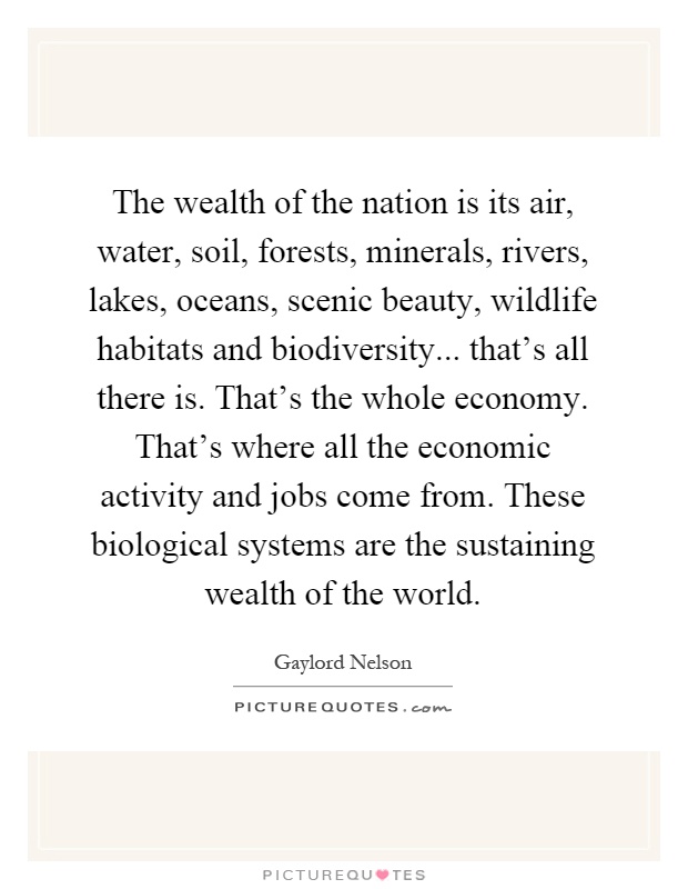 The wealth of the nation is its air, water, soil, forests, minerals, rivers, lakes, oceans, scenic beauty, wildlife habitats and biodiversity... that's all there is. That's the whole economy. That's where all the economic activity and jobs come from. These biological systems are the sustaining wealth of the world Picture Quote #1
