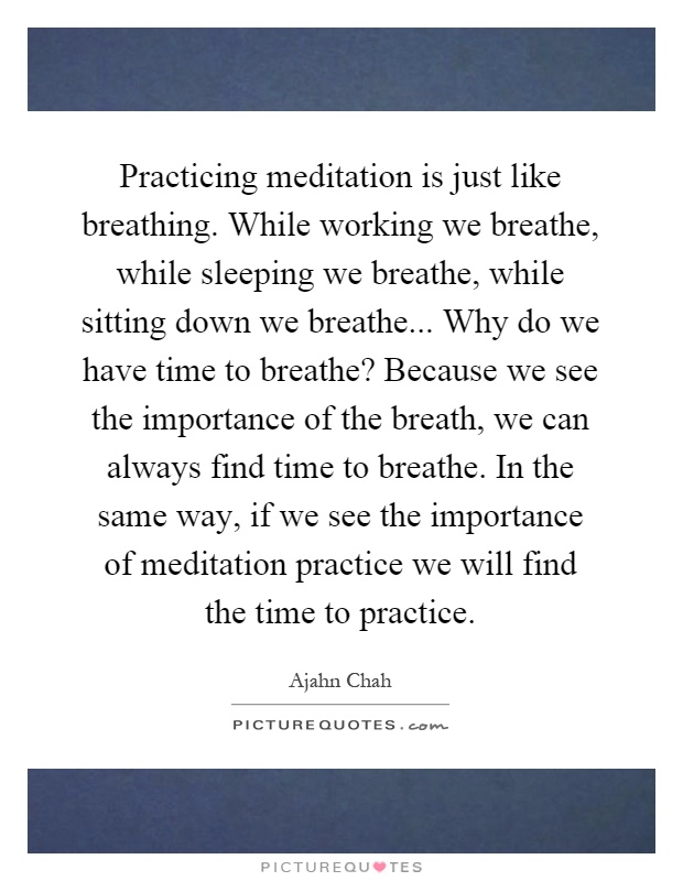 Practicing meditation is just like breathing. While working we breathe, while sleeping we breathe, while sitting down we breathe... Why do we have time to breathe? Because we see the importance of the breath, we can always find time to breathe. In the same way, if we see the importance of meditation practice we will find the time to practice Picture Quote #1
