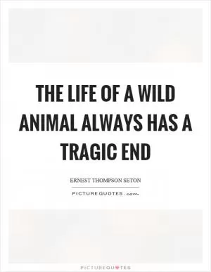 The life of a wild animal always has a tragic end Picture Quote #1