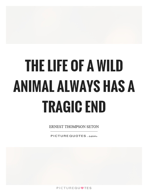 The life of a wild animal always has a tragic end Picture Quote #1