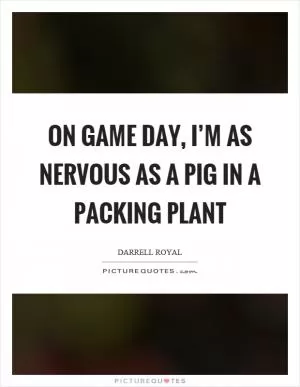 On game day, I’m as nervous as a pig in a packing plant Picture Quote #1