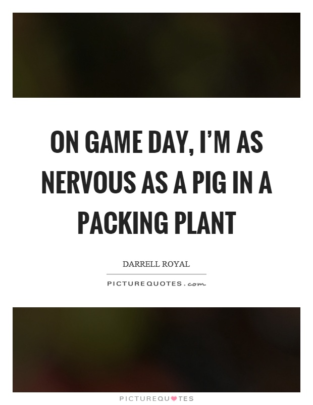 On game day, I'm as nervous as a pig in a packing plant Picture Quote #1