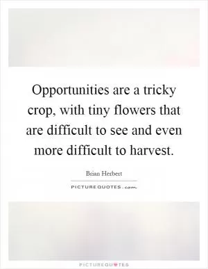 Opportunities are a tricky crop, with tiny flowers that are difficult to see and even more difficult to harvest Picture Quote #1