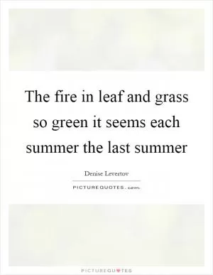 The fire in leaf and grass so green it seems each summer the last summer Picture Quote #1