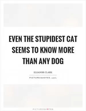 Even the stupidest cat seems to know more than any dog Picture Quote #1