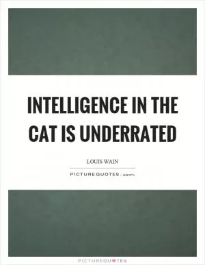 Intelligence in the cat is underrated Picture Quote #1