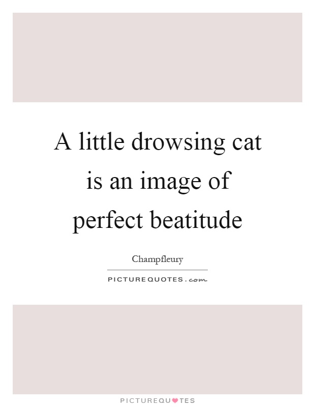 A little drowsing cat is an image of perfect beatitude Picture Quote #1