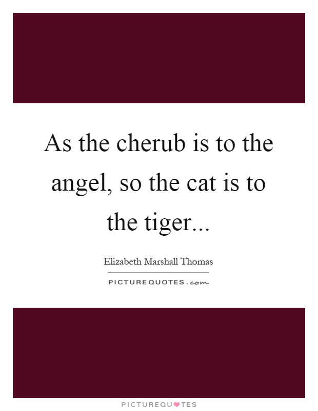 As the cherub is to the angel, so the cat is to the tiger Picture Quote #1
