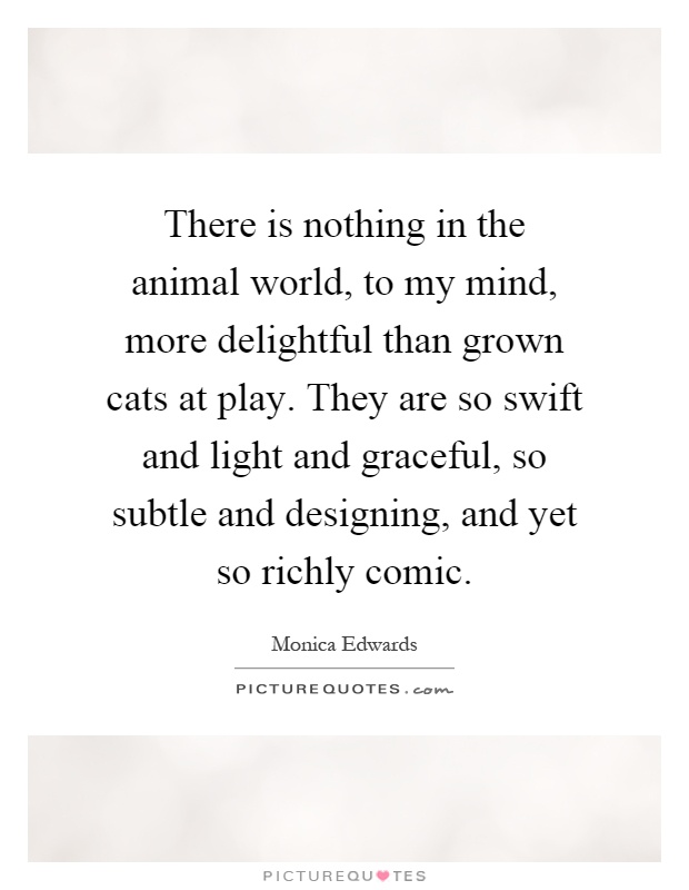 There is nothing in the animal world, to my mind, more delightful than grown cats at play. They are so swift and light and graceful, so subtle and designing, and yet so richly comic Picture Quote #1