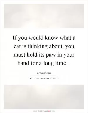 If you would know what a cat is thinking about, you must hold its paw in your hand for a long time Picture Quote #1
