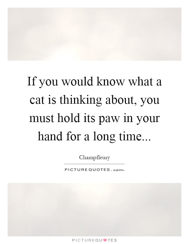 If you would know what a cat is thinking about, you must hold its paw in your hand for a long time Picture Quote #1