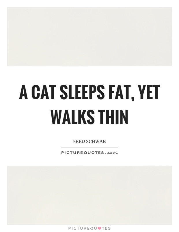 A cat sleeps fat, yet walks thin Picture Quote #1