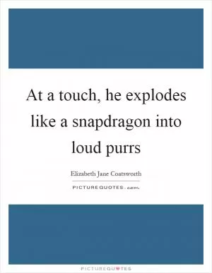 At a touch, he explodes like a snapdragon into loud purrs Picture Quote #1