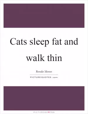 Cats sleep fat and walk thin Picture Quote #1