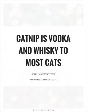 Catnip is vodka and whisky to most cats Picture Quote #1