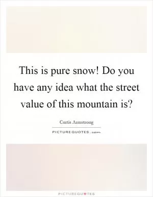 This is pure snow! Do you have any idea what the street value of this mountain is? Picture Quote #1