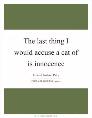 The last thing I would accuse a cat of is innocence Picture Quote #1