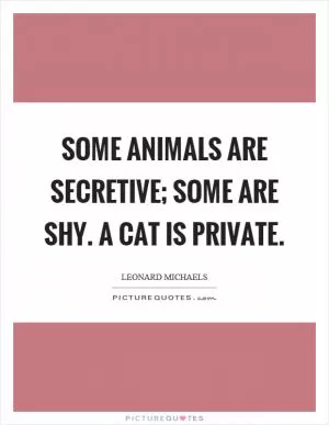 Some animals are secretive; some are shy. A cat is private Picture Quote #1