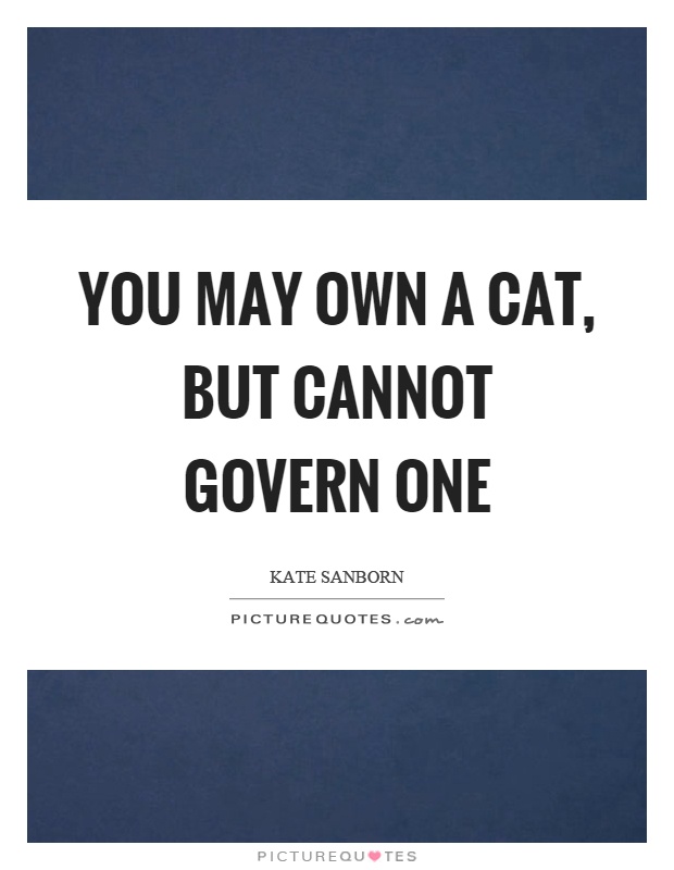You may own a cat, but cannot govern one Picture Quote #1