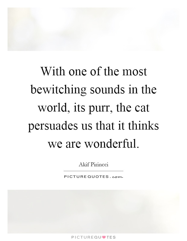 With one of the most bewitching sounds in the world, its purr, the cat persuades us that it thinks we are wonderful Picture Quote #1