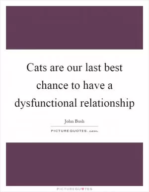 Cats are our last best chance to have a dysfunctional relationship Picture Quote #1