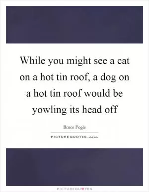 While you might see a cat on a hot tin roof, a dog on a hot tin roof would be yowling its head off Picture Quote #1