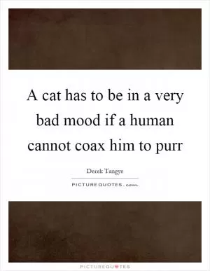 A cat has to be in a very bad mood if a human cannot coax him to purr Picture Quote #1