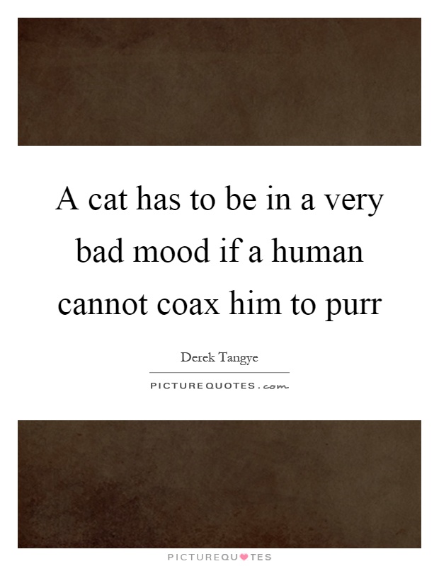 A cat has to be in a very bad mood if a human cannot coax him to ...