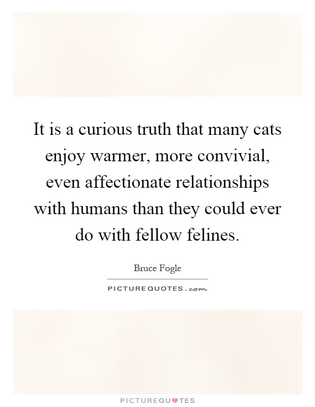 It is a curious truth that many cats enjoy warmer, more convivial, even affectionate relationships with humans than they could ever do with fellow felines Picture Quote #1