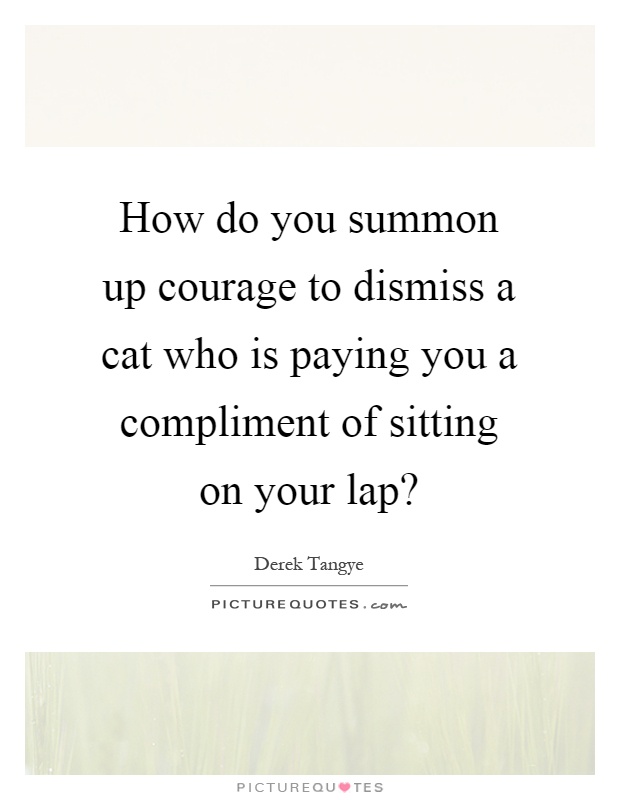 How do you summon up courage to dismiss a cat who is paying you a compliment of sitting on your lap? Picture Quote #1