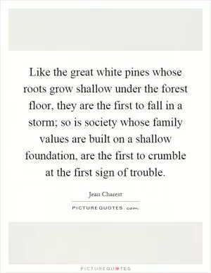 Like the great white pines whose roots grow shallow under the forest floor, they are the first to fall in a storm; so is society whose family values are built on a shallow foundation, are the first to crumble at the first sign of trouble Picture Quote #1