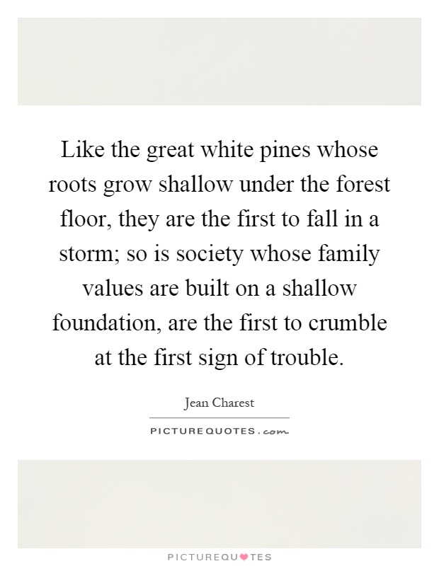 Like the great white pines whose roots grow shallow under the forest floor, they are the first to fall in a storm; so is society whose family values are built on a shallow foundation, are the first to crumble at the first sign of trouble Picture Quote #1