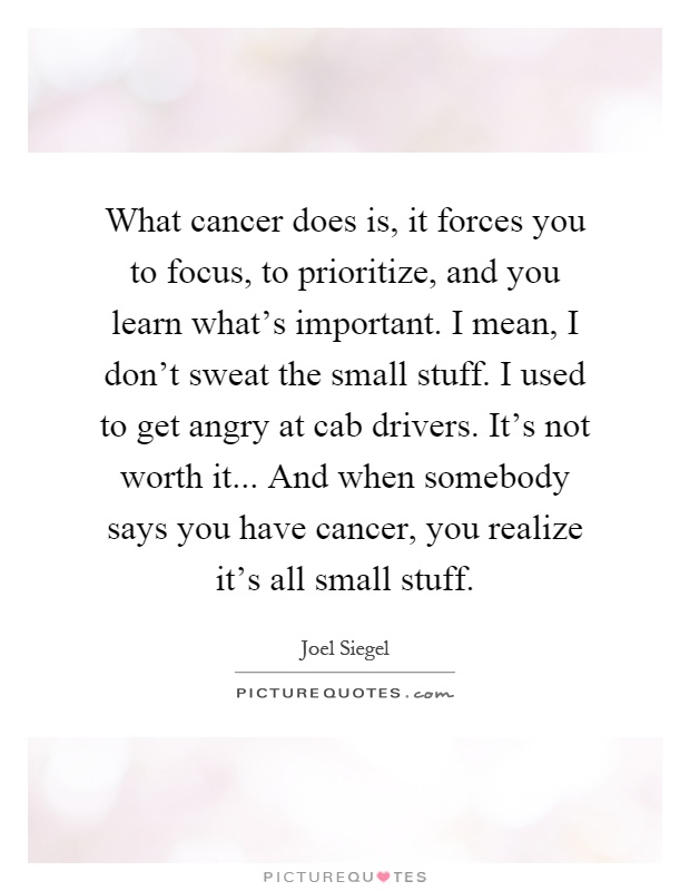 What cancer does is, it forces you to focus, to prioritize, and you learn what's important. I mean, I don't sweat the small stuff. I used to get angry at cab drivers. It's not worth it... And when somebody says you have cancer, you realize it's all small stuff Picture Quote #1