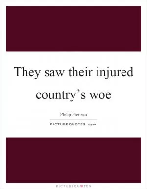 They saw their injured country’s woe Picture Quote #1