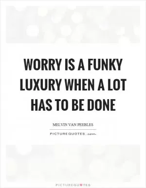 Worry is a funky luxury when a lot has to be done Picture Quote #1