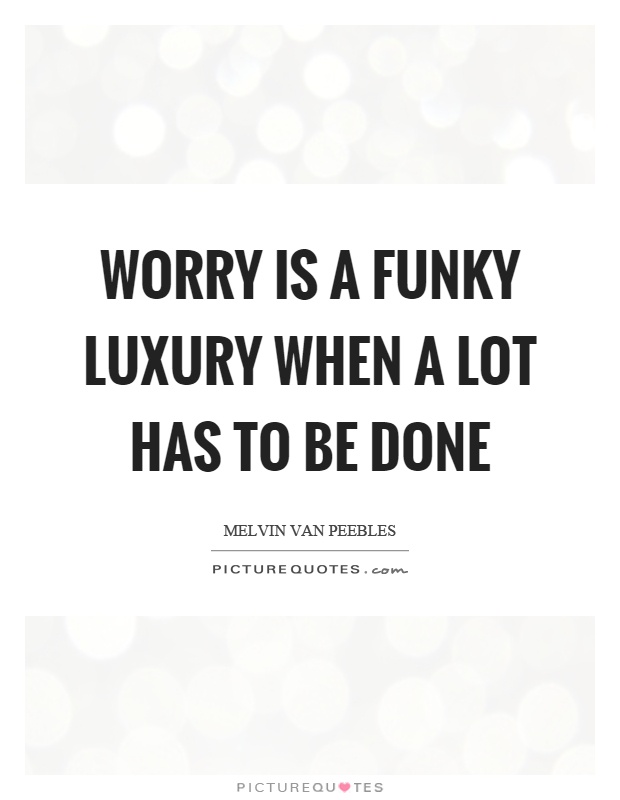 Worry is a funky luxury when a lot has to be done Picture Quote #1