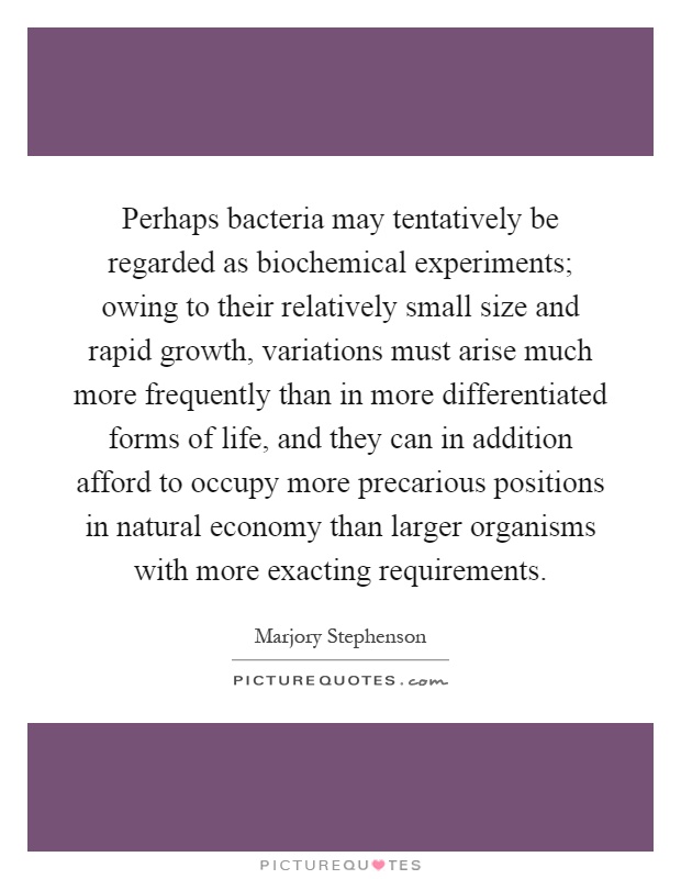 Perhaps bacteria may tentatively be regarded as biochemical experiments; owing to their relatively small size and rapid growth, variations must arise much more frequently than in more differentiated forms of life, and they can in addition afford to occupy more precarious positions in natural economy than larger organisms with more exacting requirements Picture Quote #1